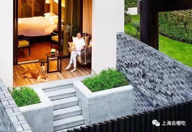 魔都这10家萌宠餐厅酒店，拯救留守在家的喵喵狗狗！咖啡、汉堡、江景……和主子腻在一起！