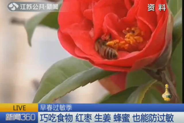 春季脸上皮肤过敏泛红发痒小妙招,春季皮肤过敏发肿泛红发痒小妙招