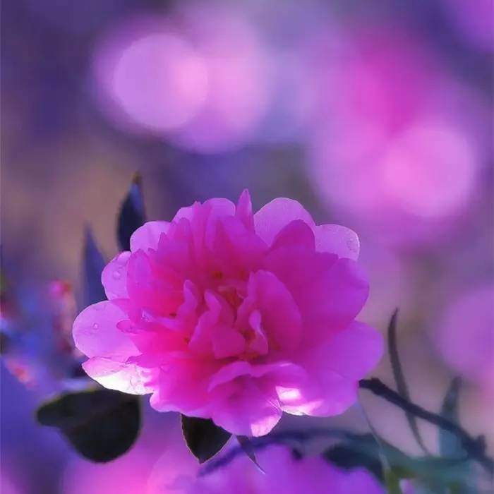 人生的三个境界，你到了哪一层？