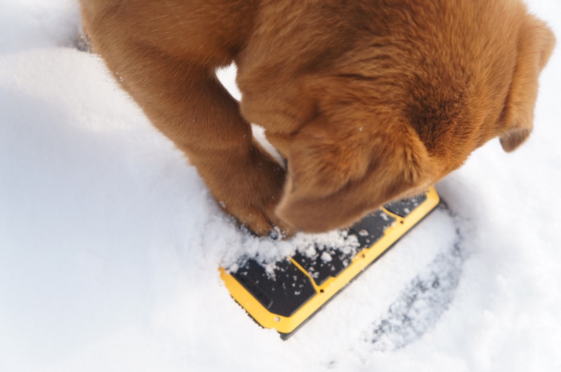 这货是雷神之锤？专业户外手机云狐大黄蜂（A7）体验