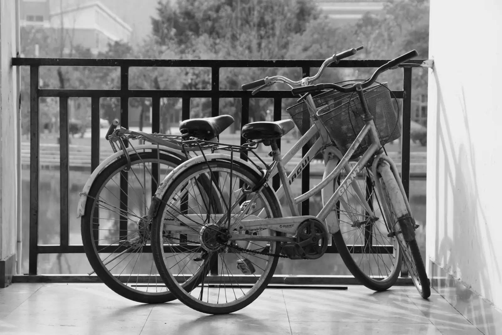 福师大版诗词大会|长安辞赋星雨谣,仓旗才俊巧成章