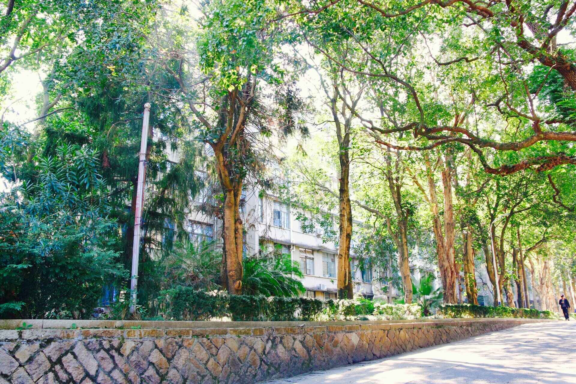 福师大版诗词大会|长安辞赋星雨谣,仓旗才俊巧成章