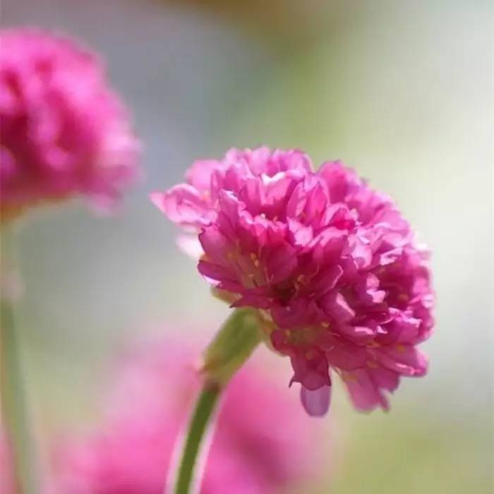 人生的三个境界，你到了哪一层？