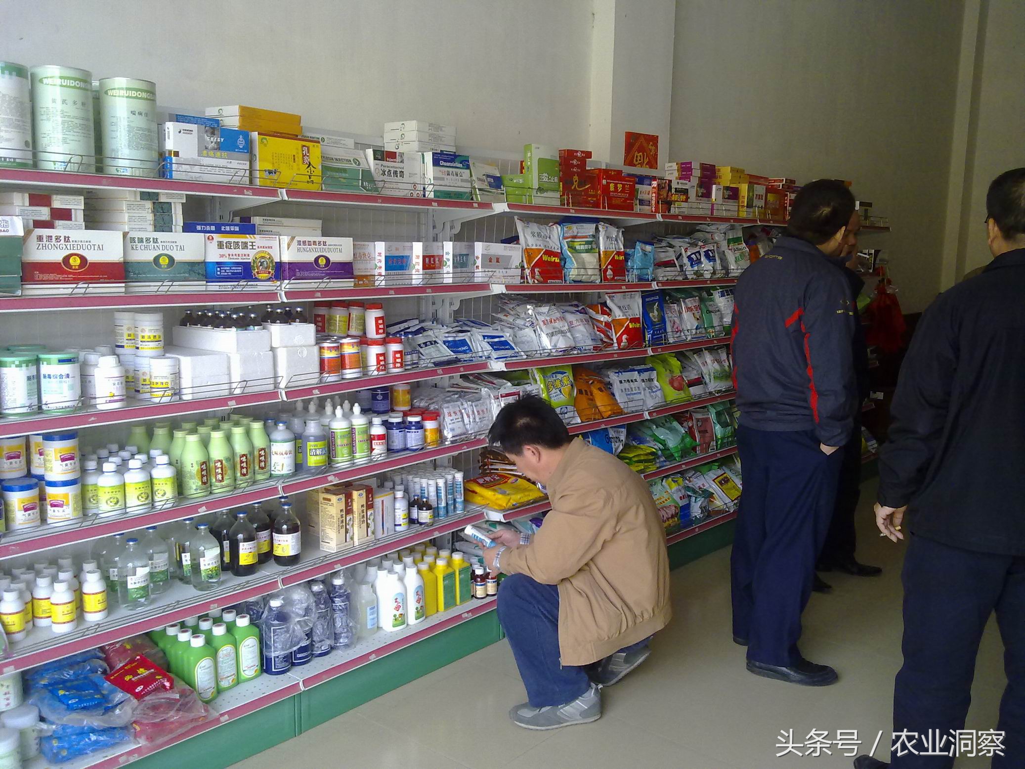 购买农资如何避免上当,农民在购买农资如何避免上当受骗