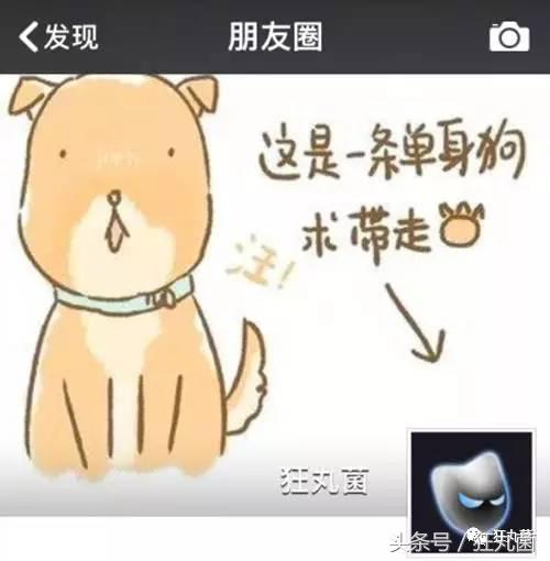 微信朋友圈封面全面展示,微信朋友圈封面图动态教程