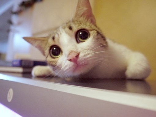 纠结！要不要花10万块买车位？