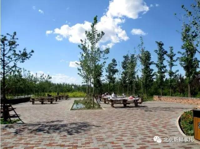 北京植物园踏青赏花,踏青赏花北京