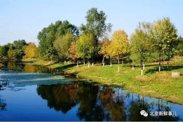 北京植物园踏青赏花,踏青赏花北京