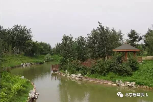 北京植物园踏青赏花,踏青赏花北京