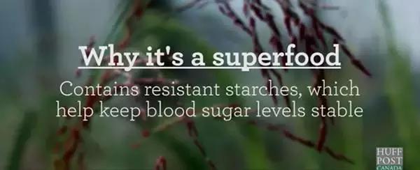 人类未来的重要食物是什么,美国十大未来食物