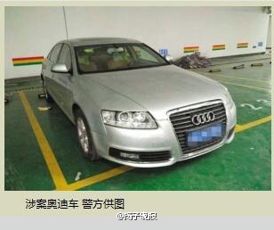 村子修路发现恐龙化石,老人挖出恐龙蛋化石