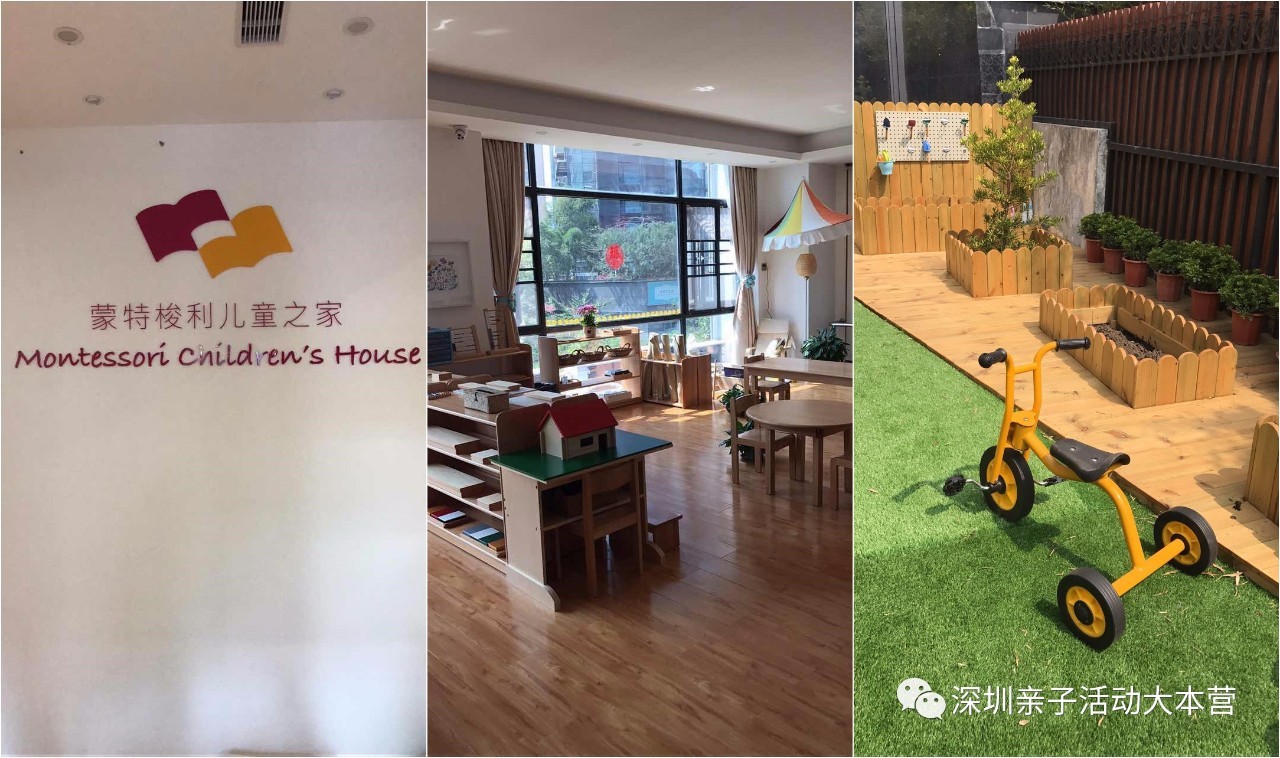 深圳市南山区幼儿园择校最全攻略,深圳南山要择校怎么考