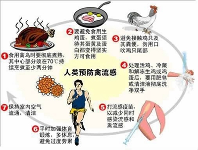 h7n9禽流感最新消息广东,h7n9禽流感最新消息海南