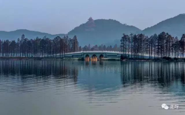 东湖樱花园两日游攻略,东湖绿道游玩最佳攻略