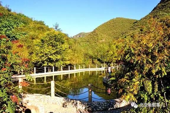 北京赏花踏青自驾游,北京国家森林公园踏青