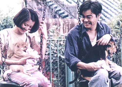 获得金像奖最多的一部电影,香港电影金像奖有哪些电影