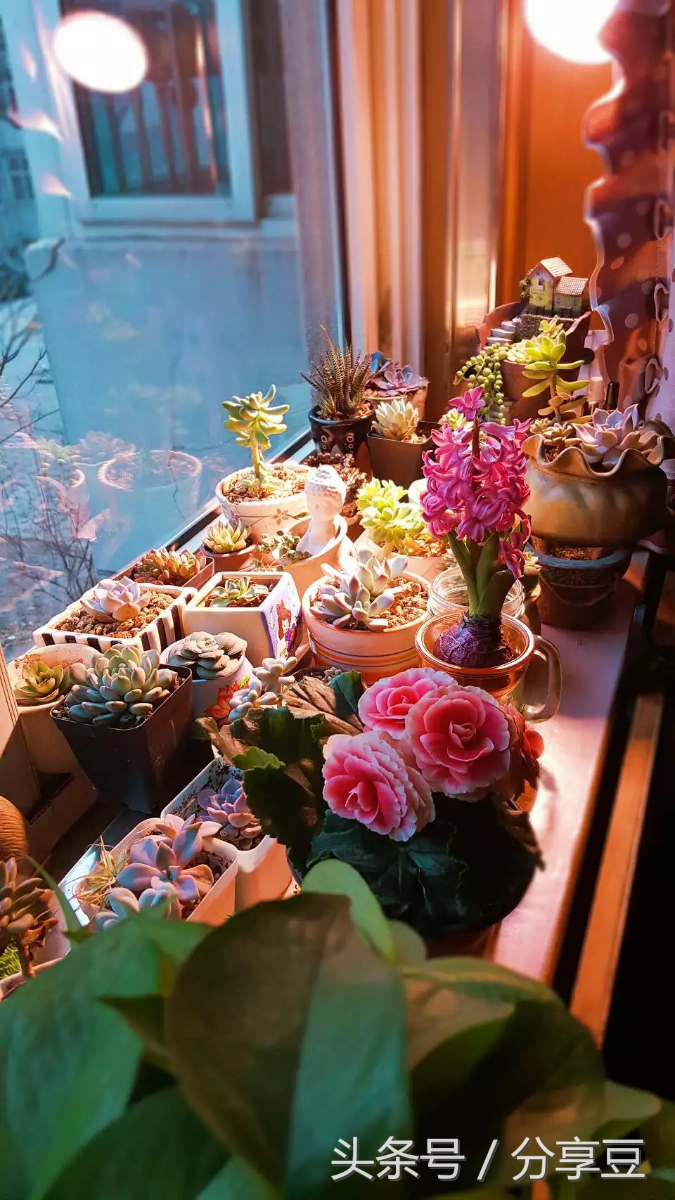 哪类东西你非收集不可？看了网友晒出的收集癖好，我惊呆了