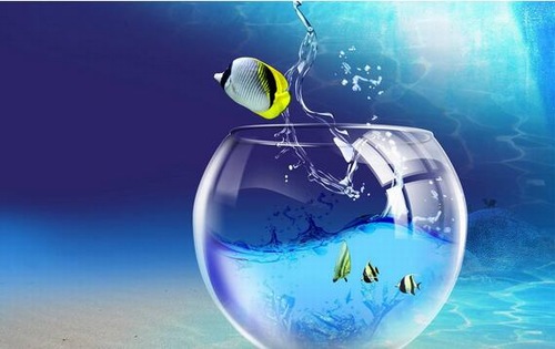 清洗大鱼缸用什么消毒,鱼缸怎么彻底清洗消毒