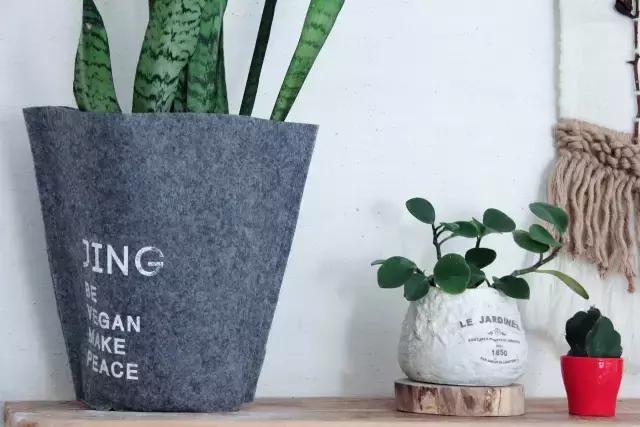 创意手工花盆旧物利用长方形,带把手茶壶旧物改造为花盆