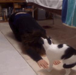 搞笑Gif：白板，动了手脚之后变*摸自**了！所以说远离赌博！