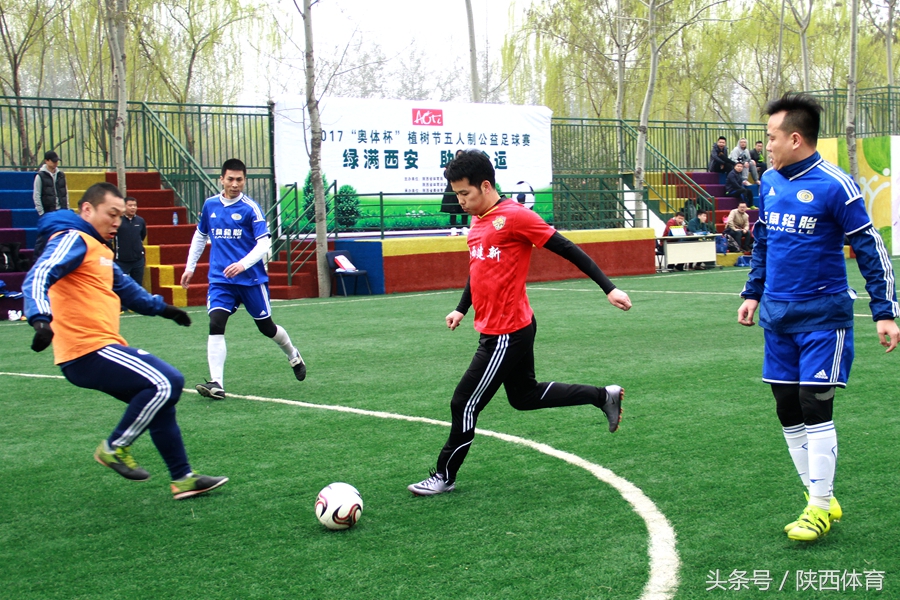 植树节手工种下一棵树留住一片绿,植树节推荐足球