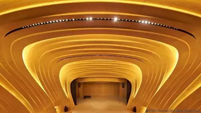 九个仰首的瞬间，太惊艳！我也就看了三四遍