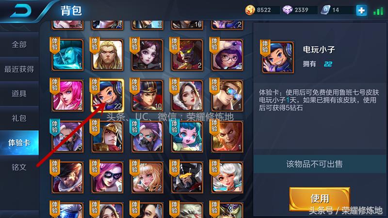 王者荣耀新赛季全皮肤体验卡,王者荣耀皮肤体验卡排位能用吗