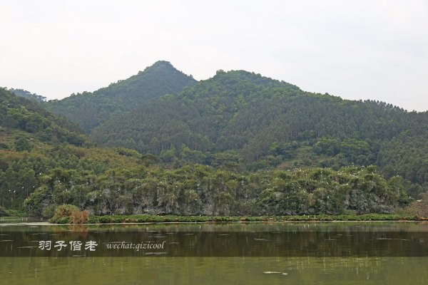 居于涟岸隐于湖,到肇庆体验离尘不离城的精致慢生活