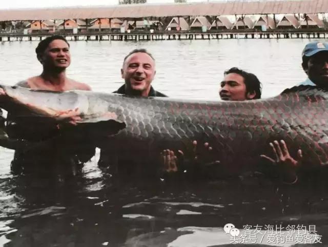 泰国巨骨舌鱼钓场位置,泰国钓鱼钓巨物位置