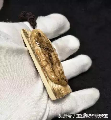 猛犸象现在真的灭绝了吗,猛犸象已灭绝为什么还有猛犸象牙