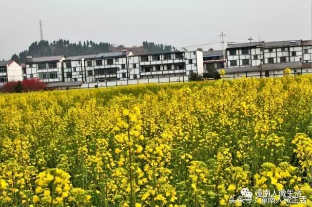 潼南附近的城市好玩的地方,潼南是不是个好地方