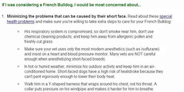 法国斗牛犬狗粮推荐,法国斗牛犬吃东西的视频