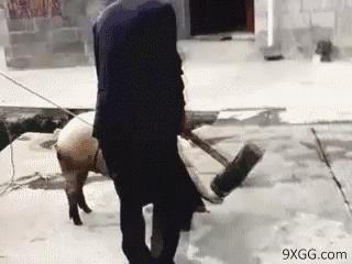 终于知道怎样跑才跑得快,知道这些学车技巧驾考轻松过