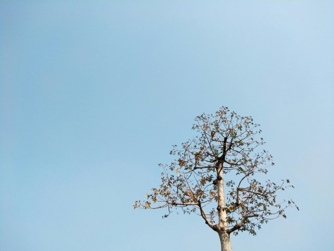 360最新n5手机怎么样,360手机n5配置怎么样