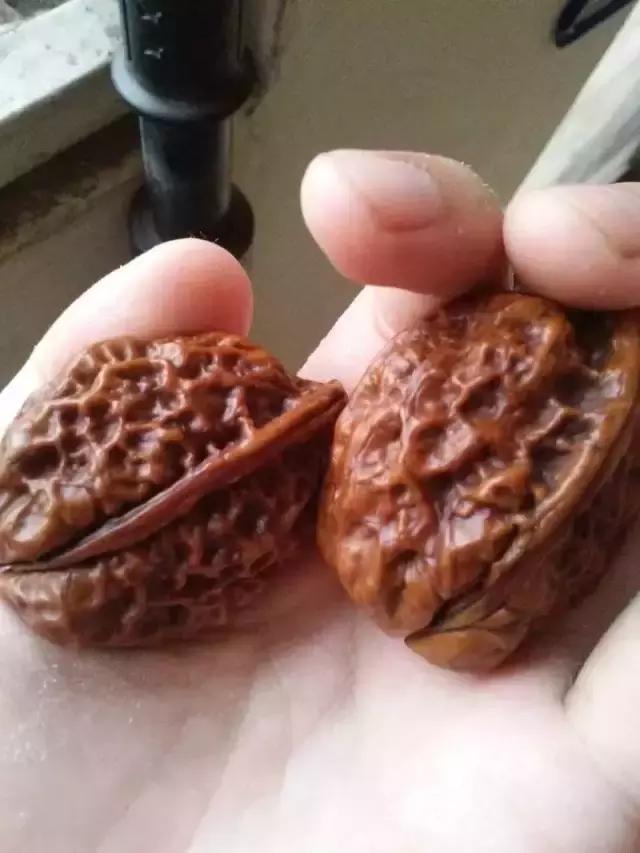 文玩人最喜欢的文玩是什么,文玩人最爱夏天