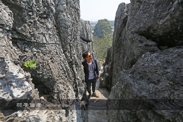 居于涟岸隐于湖，到肇庆体验离尘不离城的精致慢生活