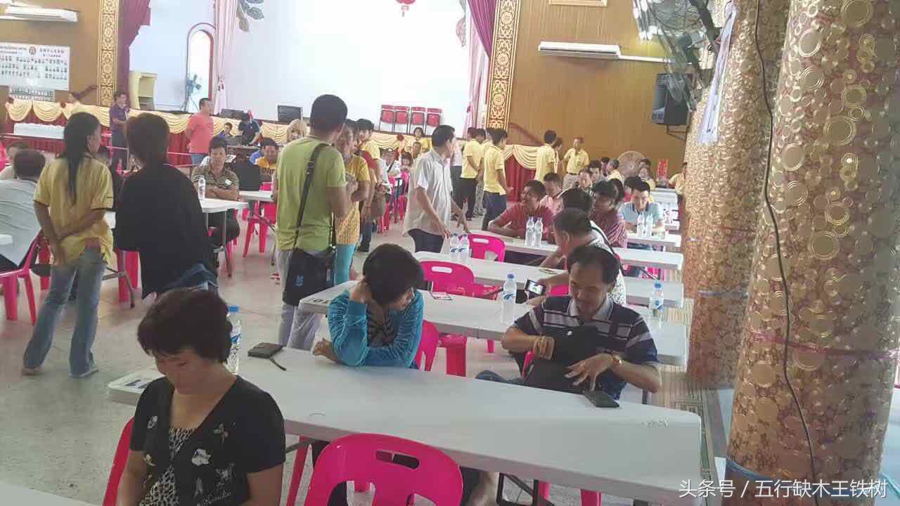 泰国燕窝什么工艺,泰国燕窝知识