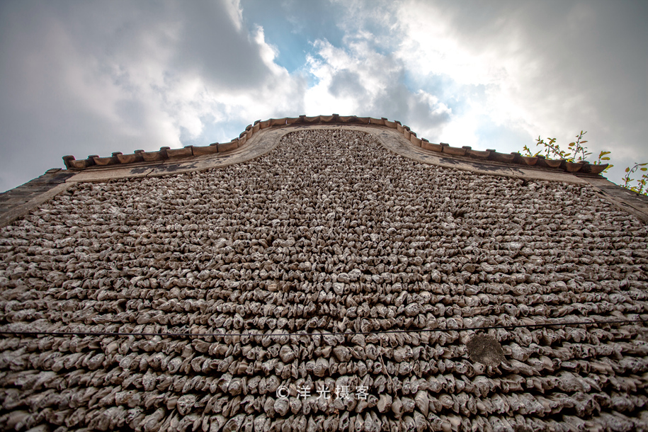 榕树不容人容人不榕树是什么意思,为什么有榕树不容人的说法