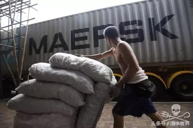 禁令之下,鱼翅照运?