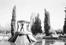 女孩将沙子里捡到的石头送给猎人，结果这个城市的鸭子全被杀光了