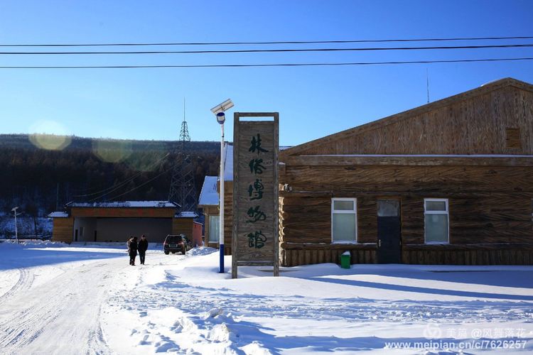 白狐千年等待只为今生相遇,白狼一生只爱一人