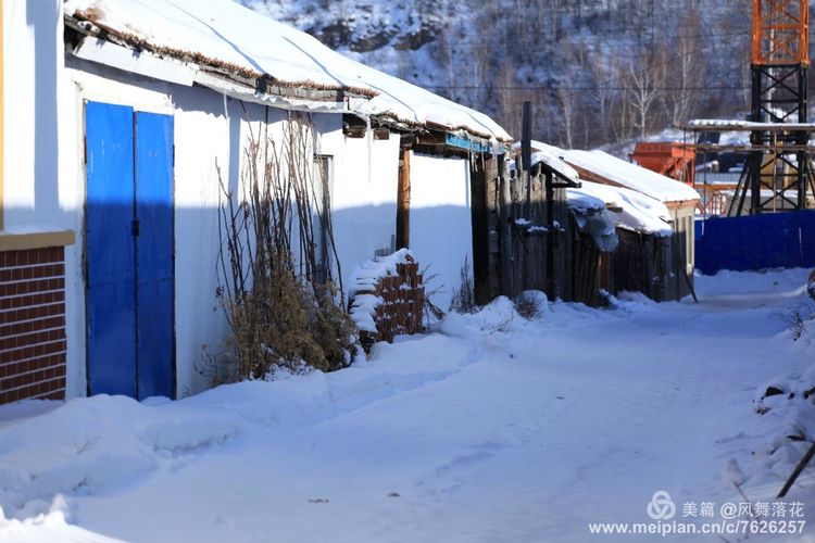 白狐千年等待只为今生相遇,白狼一生只爱一人