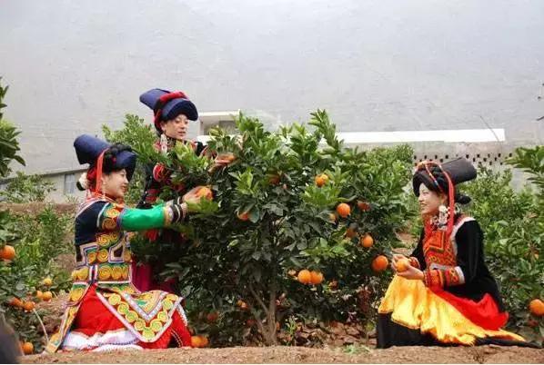 乐山每个区县名字,四川乐山省级贫困县名单