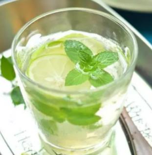 阳台薄荷种植,阳台种菜十大危害薄荷