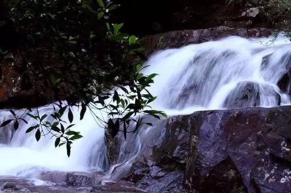 一条微信甩给你教南宁人如何玩转女王节拿走不谢