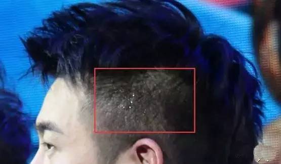 三生三世主演,三生三世的主演有哪些