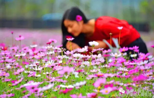 潼南附近的城市好玩的地方,潼南是不是个好地方