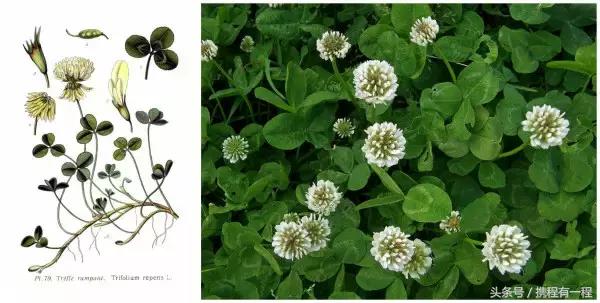 是什么样的国家,公共厕所里竟然只有一个拳头大的壶?