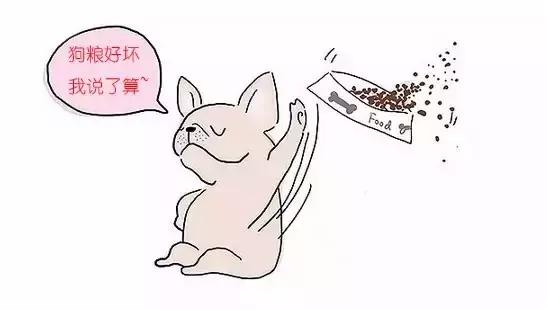 幼犬吃劣质狗粮会怎么样,长期吃劣质狗粮导致肾衰