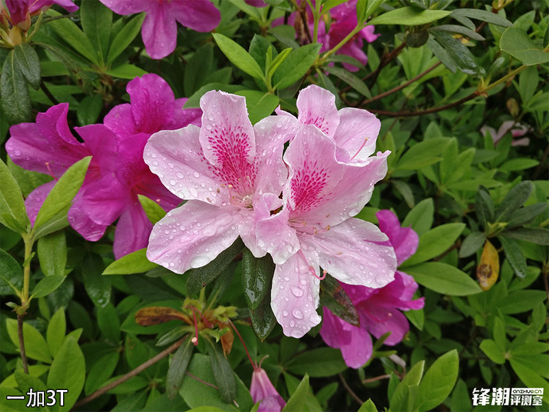 一加3t和荣耀v9哪个好,荣耀v9和一加3t评测视频